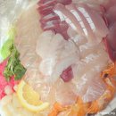 벌교오일시장3 | 노량진수산시장 벌교아줌마｜땡겨요로 주문한 광어·방어 소짜 후기