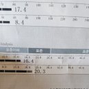 샐러드 바스켓 죽전점 이미지