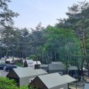 월악산국립공원 닷돈재자동차야영장 이미지