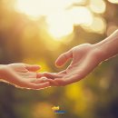 예스크린세탁협동조합 이미지