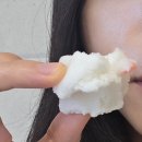 장지역1번출구 선도빌딩 | 송파 문정 맛있는 떡집 추천! 시루나무떡집 떡나오는시간, 앙금절편, 백설기 솔직후기!