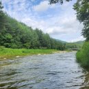 숲속힐링민박 이미지