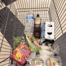 스테이제부 26-1 이미지