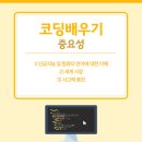 코딩 기초 배우기 이미지
