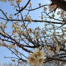 (주)유림 이미지