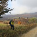 이봉목장 이미지