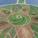 해바라기태양광 이미지