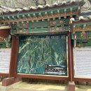 은해사 벚꽃길 이미지