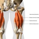 대니스짐 이미지