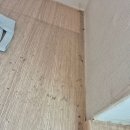 장안43 | 장안구 입주청소 어디 맡길까? 직접 써본 생생 후기😊