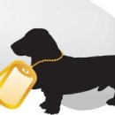 펫가든 동물병원 이미지