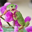 푸얼솜