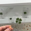 애즈원 | 연남동 사주타로: 홍대 이웃집마녀 에즈원선생님 사주 솔직후기, 주차