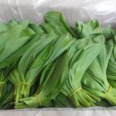 통골농장 이미지