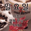 좋은세상좋은사람 이미지