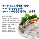 호계동횟집•호계동배달맛집,갓성비횟집 [탐나종합어시장 안양호계점]
