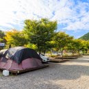 금오산 오토캠핑장 이미지