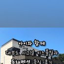 시그널키즈풀빌라펜션