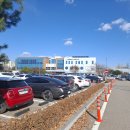 정읍시북부노인복지관 | 2025.12.3. 사군자 수업 : 북부노인 복지회관