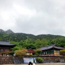 조가네약선순대국 | 부안 당일치기 여행 - 개암사, 할매피순대, 새만금간척박물관, 이디야