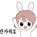 미스터헤어(Mr.hair)