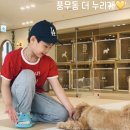 더누리개 이미지