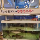 펜트아이 | 펜트아이 키즈카페 후기｜어릴 때부터 여러 번 간 넓은 키즈카페 🙂