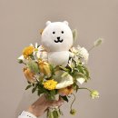 또와조아 이미지