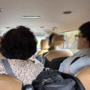 야생화꽃자수 | 산굼부리 완전정리! 입장료·운영시간·가족 여행 후기 - 바람 따라 억새 흔들리는 산굼부리, 힐링 산책