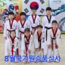 용인대 미르 태권도장 이미지