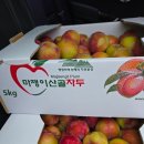 성마을농장 | 마쟁이산골자두 문의마을 명품 자두 소개