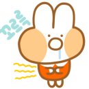 예담인 이미지