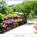흙과나무 - 포천시 광릉수목원로 592 | 흙과나무