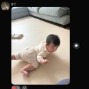 엘르메디건강식품 | 난임일지 | 엘르메디 인공수정 2회차 시술후기, 성공률 높이기