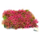 아쿠아테라 수족관 이미지