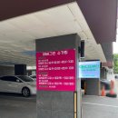 에버그린 | 울산 브라질리언 왁싱 에버그린 후기 착한 가격과 꼼꼼한 관리