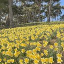 신흥아그로 이미지