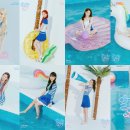 알로하오에 이미지