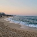 바다여행 이미지