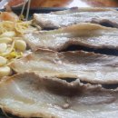 돈조은날