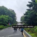 [콘서트]페르소나5 빅밴드 콘서트 후기