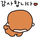 서산클럽아일랜드 이미지