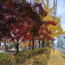 달이네찬 이미지