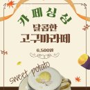 싱싱카페 이미지