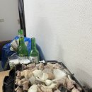 서울 가성비 맛집 관악구 봉천 소곱창 신풍루 곱창구이 내돈내산 , 화장실