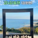 협동조합 강원피스투어 이미지