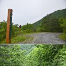 안개4길 티스토리