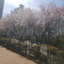 센텀행정사사무소 이미지