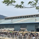 라이커밀 이미지