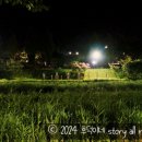 삼향천4 이미지